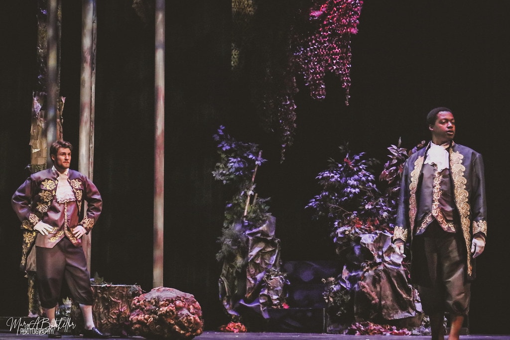 Into the Woods — Cinderella's Prince and Rapunzel's Prince stand apart in the dark enchanted forest