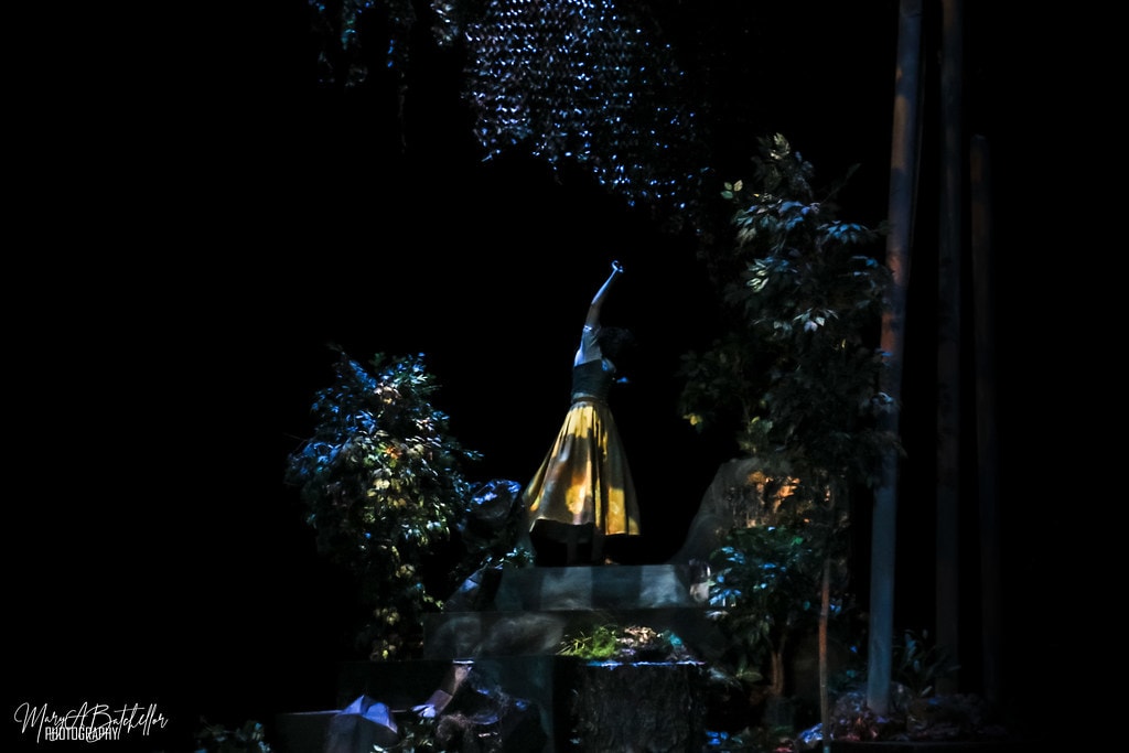 Into the Woods — a lone performer in a gold skirt stands with one arm raised among the dark enchanted forest trees