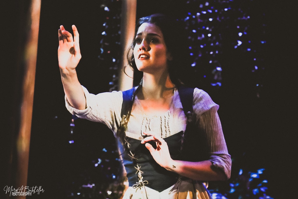 Into the Woods — Cinderella sings a solo with one hand raised before a blue starlit forest backdrop