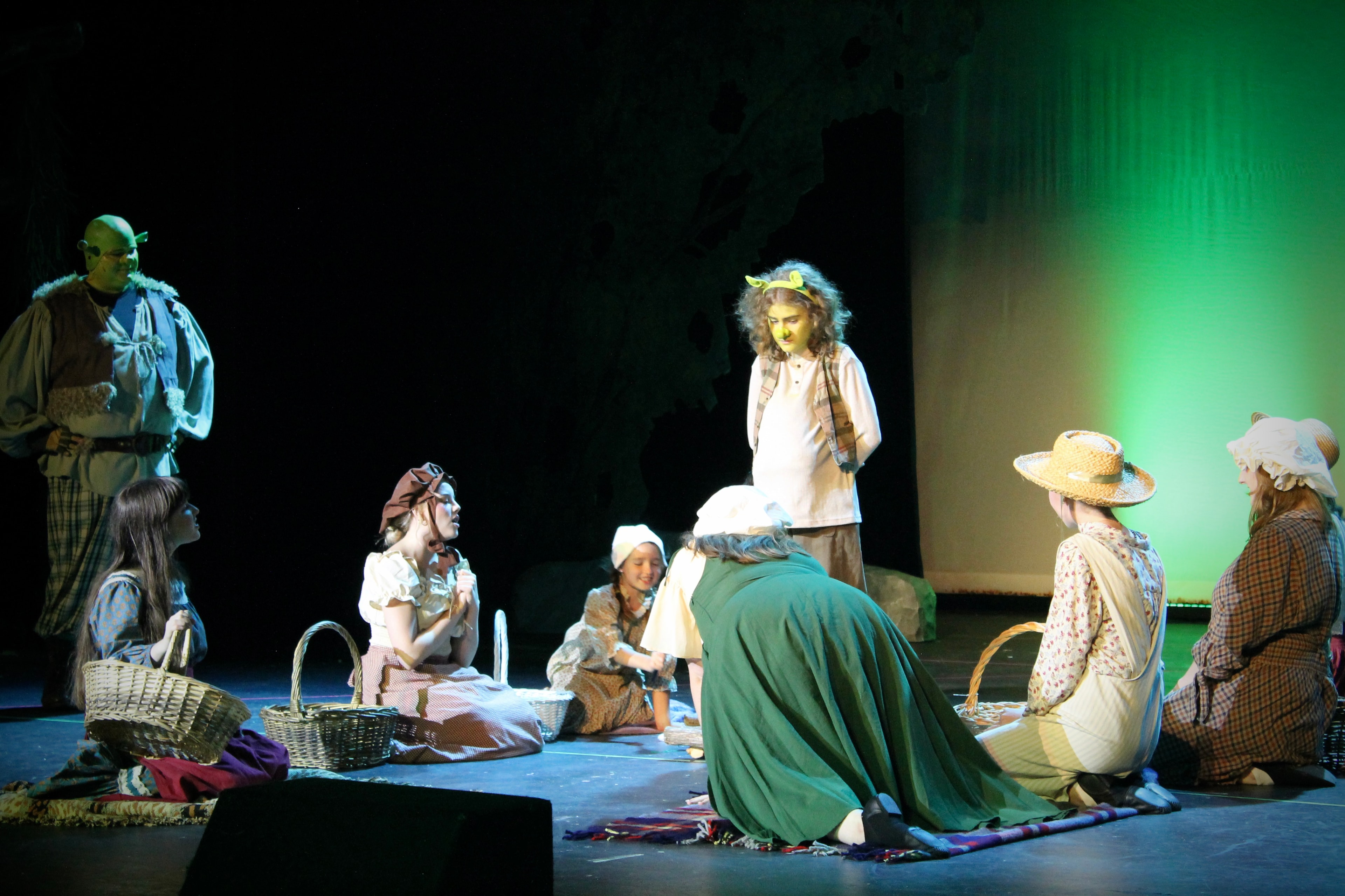 Shrek the Musical 2025 production photo